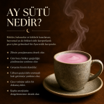 MOR SAMURUN RÜYASI - Görsel 2