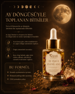 AYIŞIĞI DAMLASI - Görsel 4